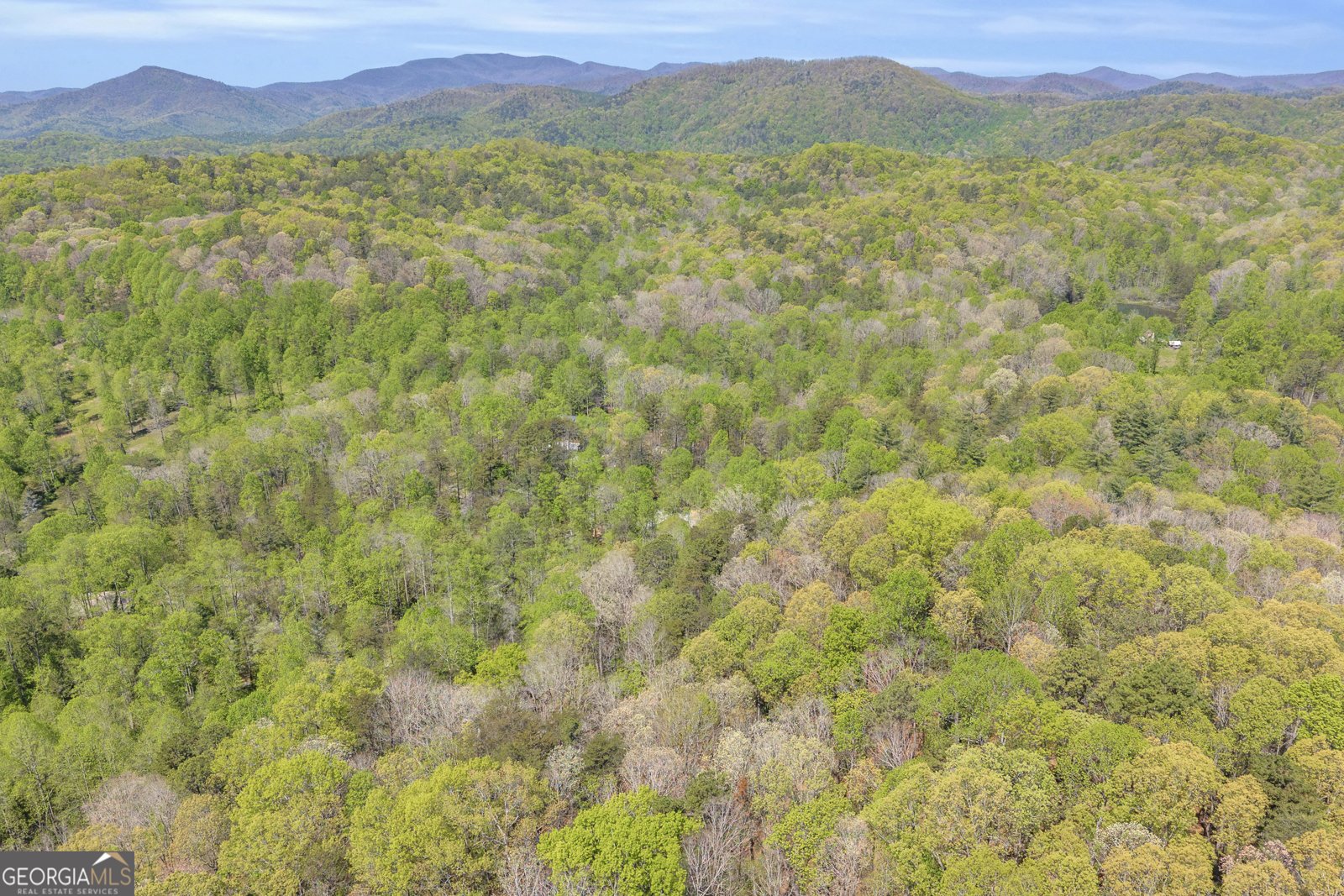 294 Brookwood Lane Clarkesville - Photo 61