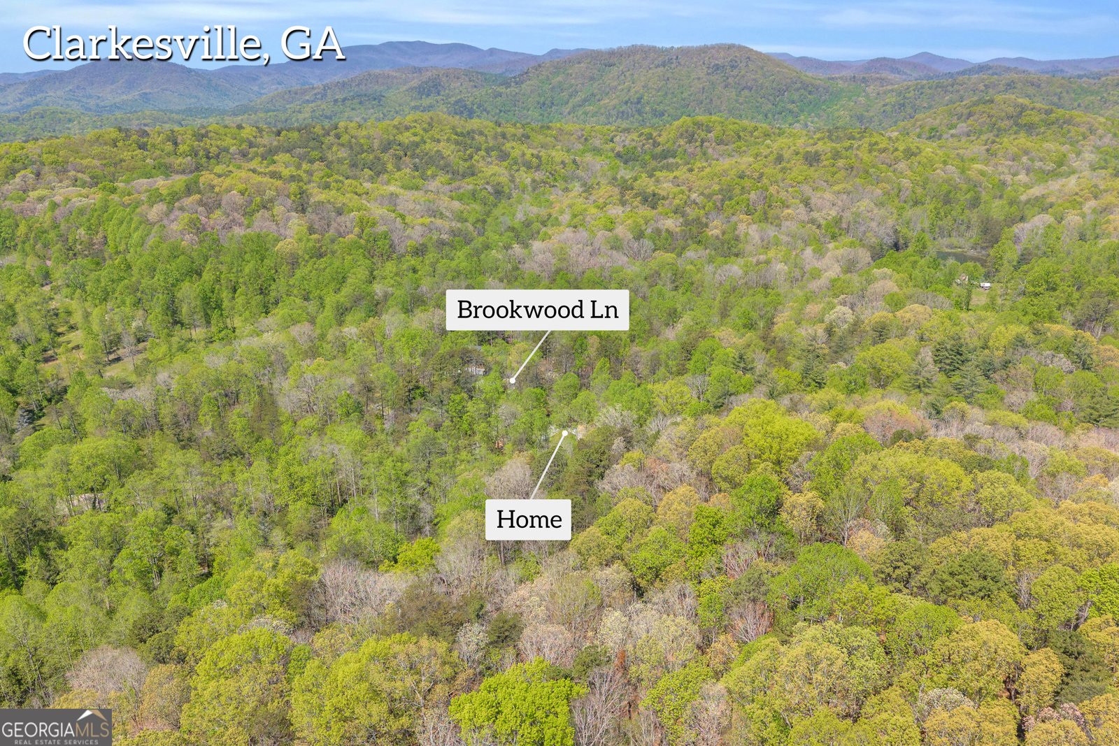 294 Brookwood Lane Clarkesville - Photo 62