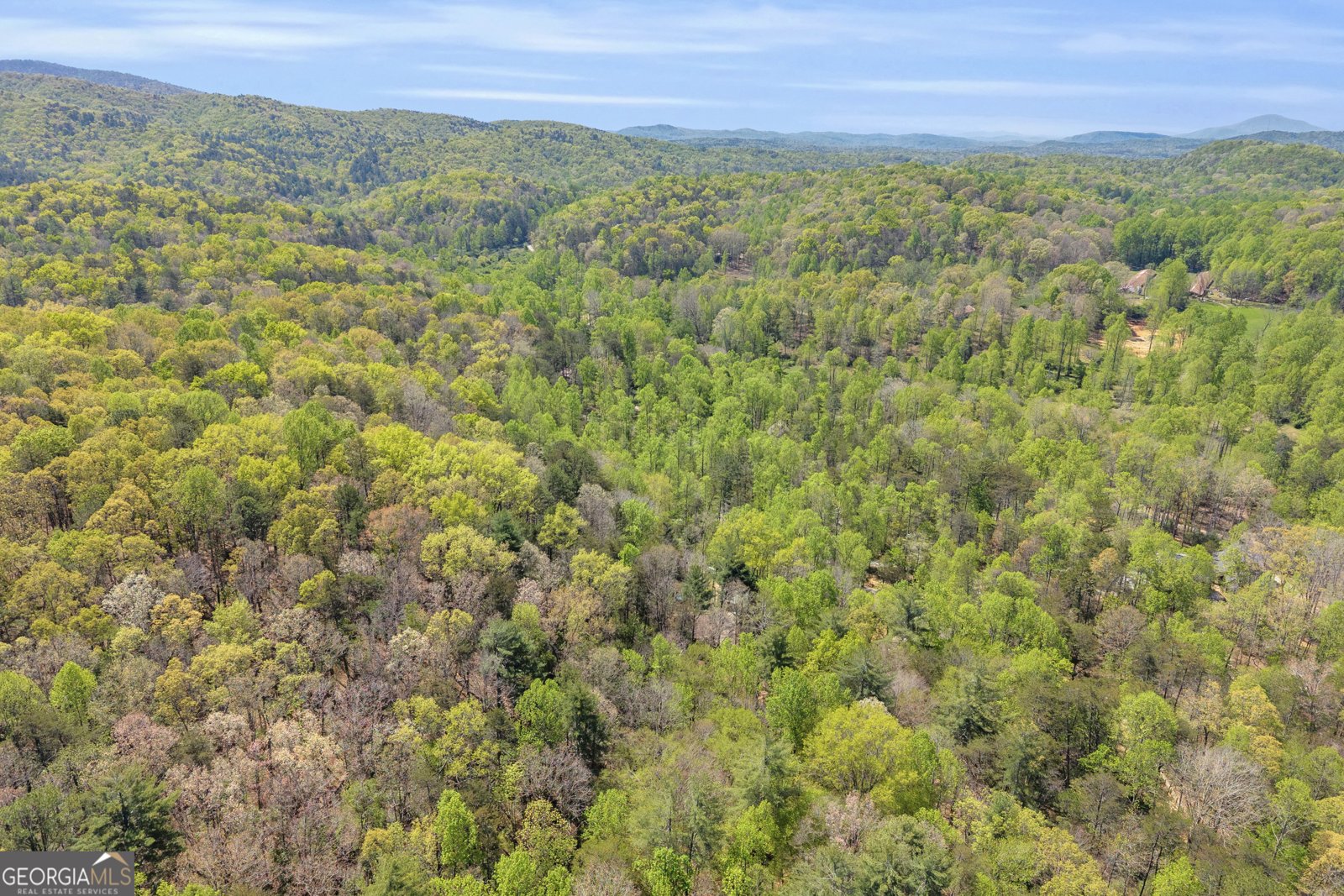 294 Brookwood Lane Clarkesville - Photo 63