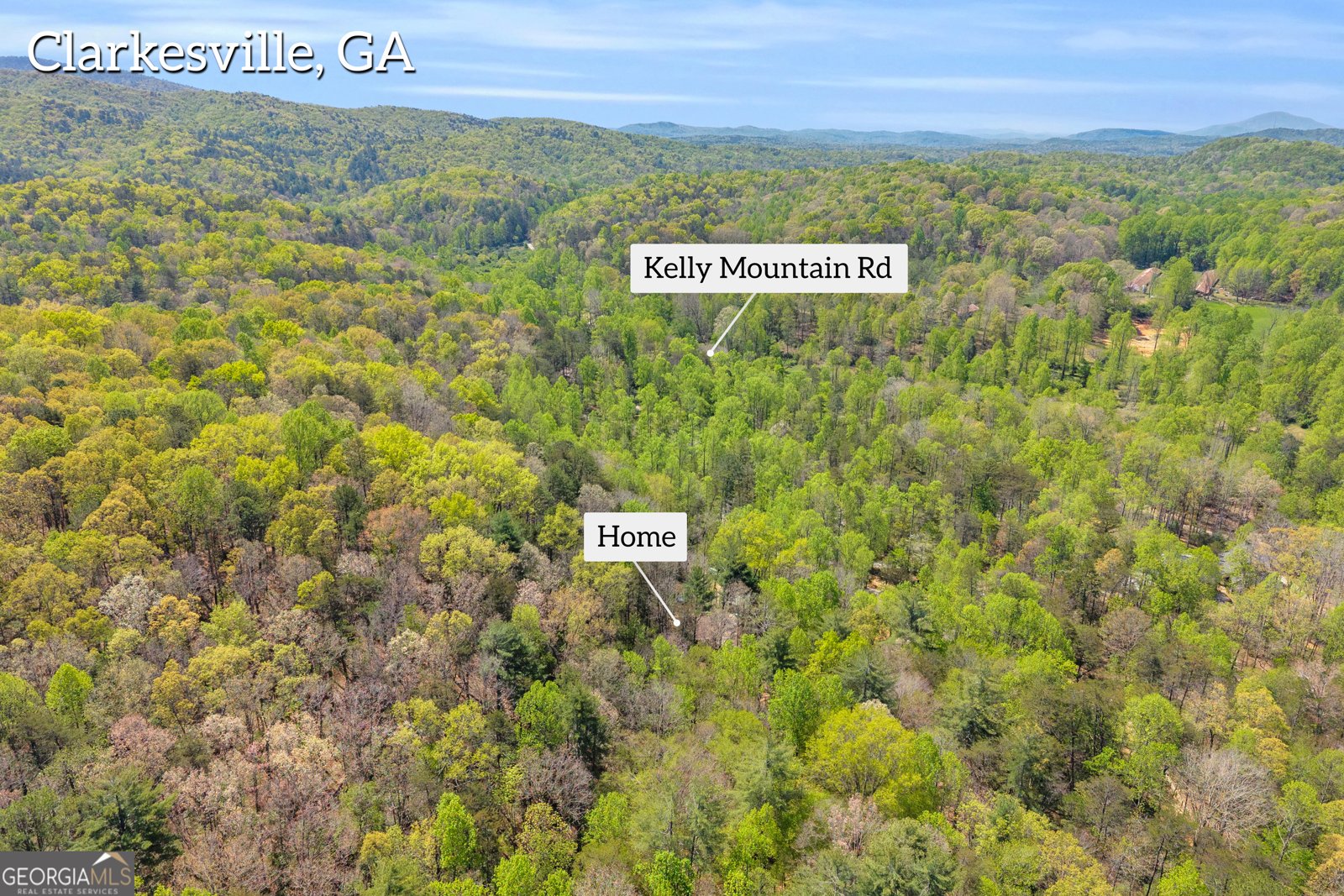 294 Brookwood Lane Clarkesville - Photo 64