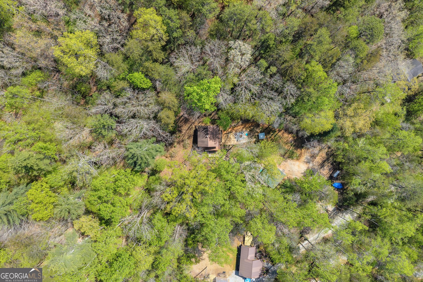 294 Brookwood Lane Clarkesville - Photo 65