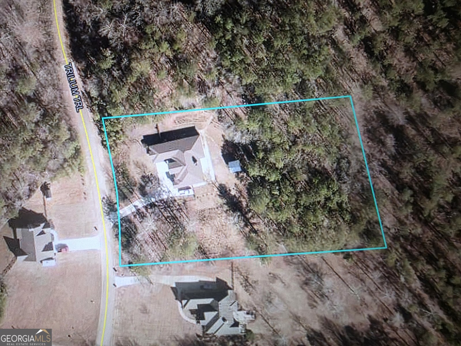 412 Trilium Trail Pendergrass - Photo 48