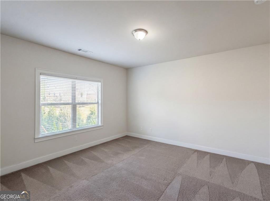 220 Shellbark Drive Mcdonough - Photo 24