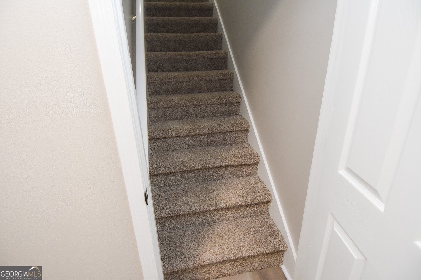 475 Jenkinsburg Road Griffin - Photo 48