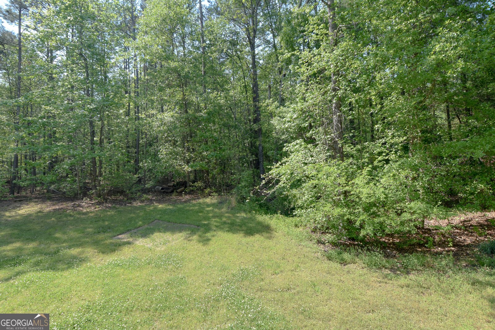 475 Jenkinsburg Road Griffin - Photo 56