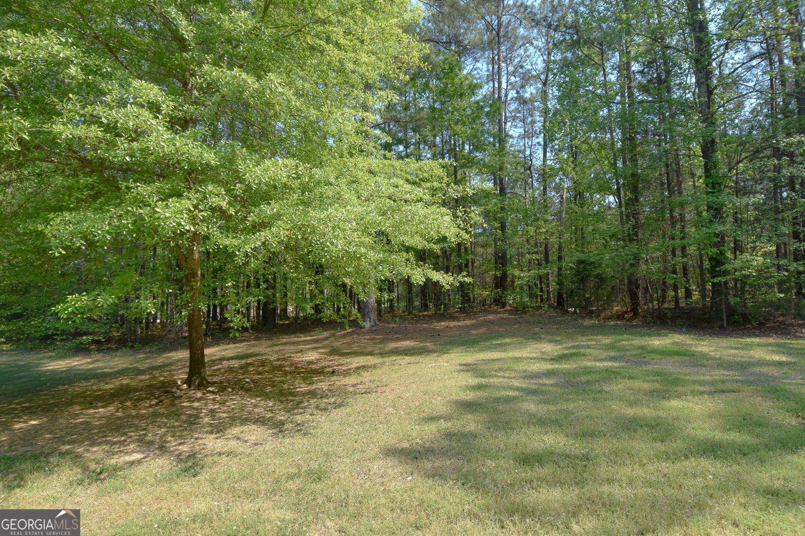 475 Jenkinsburg Road Griffin - Photo 60