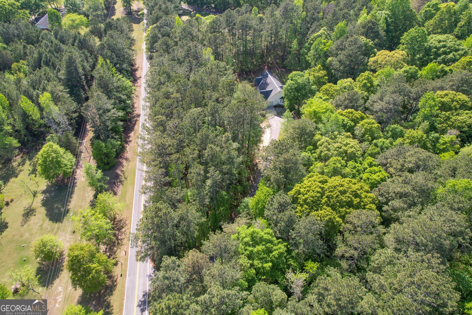 475 Jenkinsburg Road Griffin - Photo 83