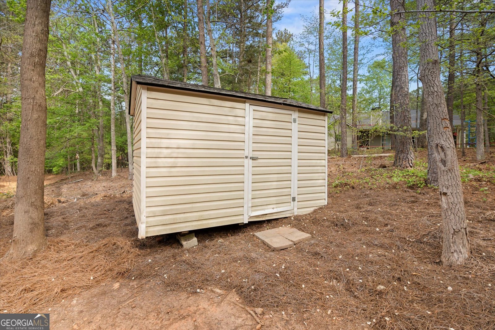 10212 Tall Pine Place Villa Rica - Photo 53