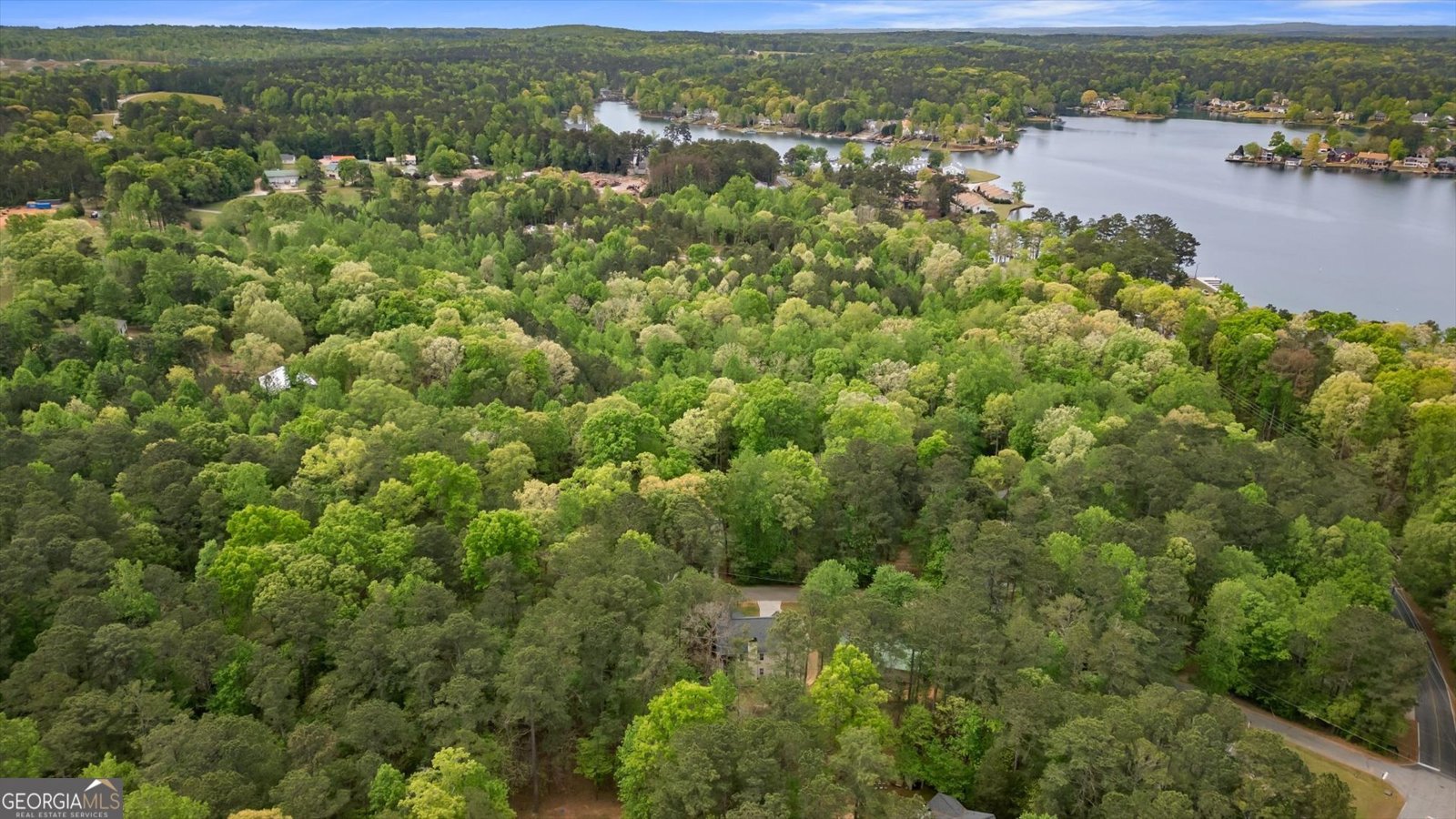 10212 Tall Pine Place Villa Rica - Photo 62