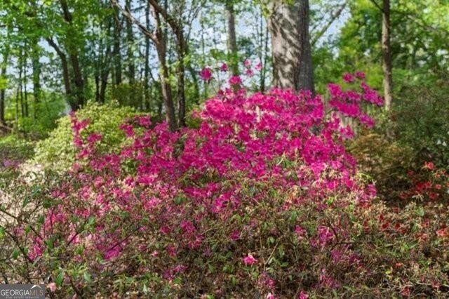 215 Farm Grove Trace Alpharetta - Photo 43