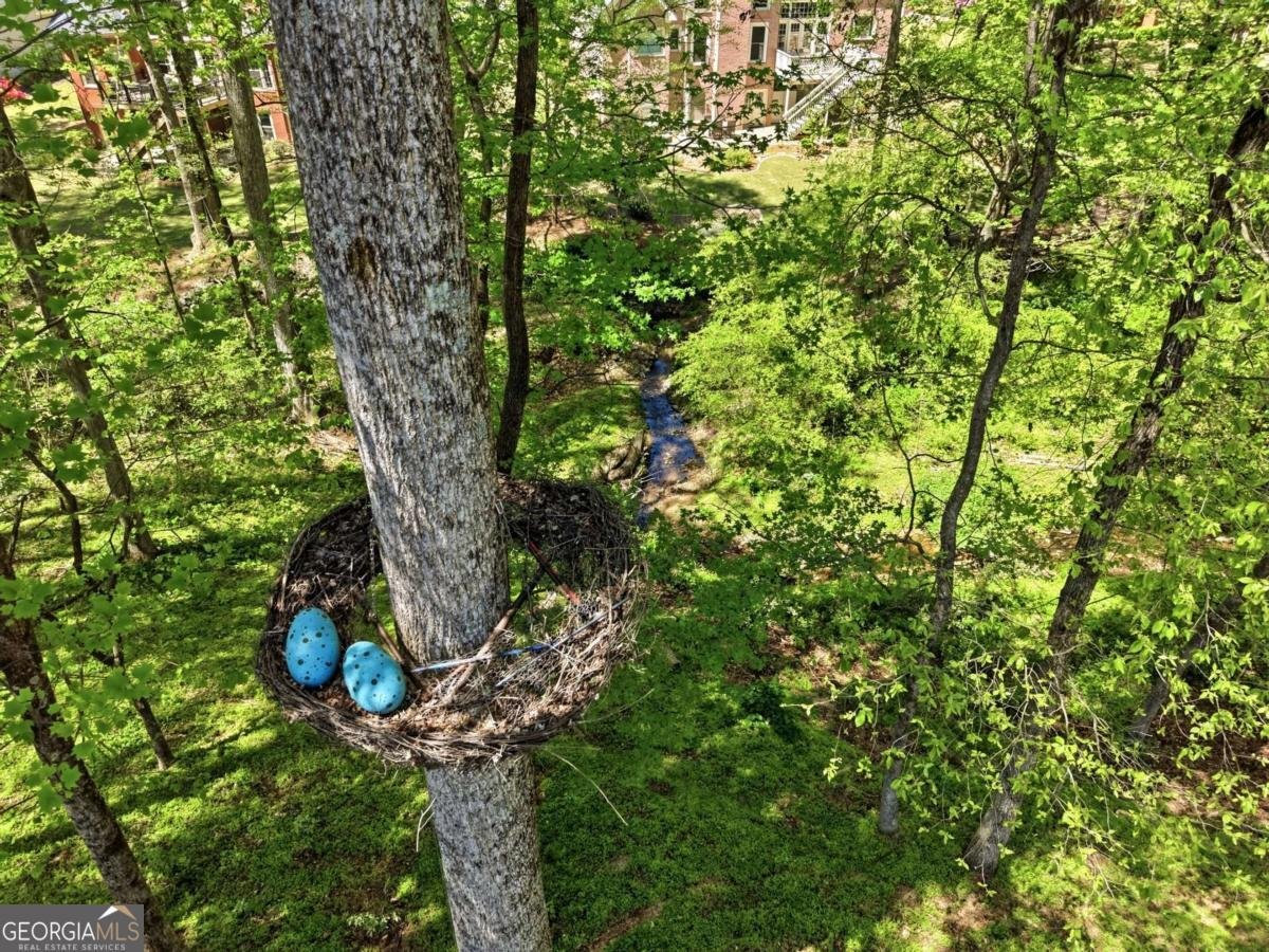 3660 Chartwell Drive Suwanee - Photo 45