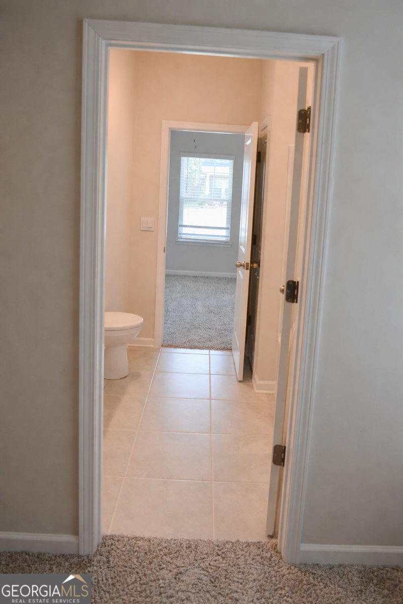 842 Milo Bay Street Loganville - Photo 17
