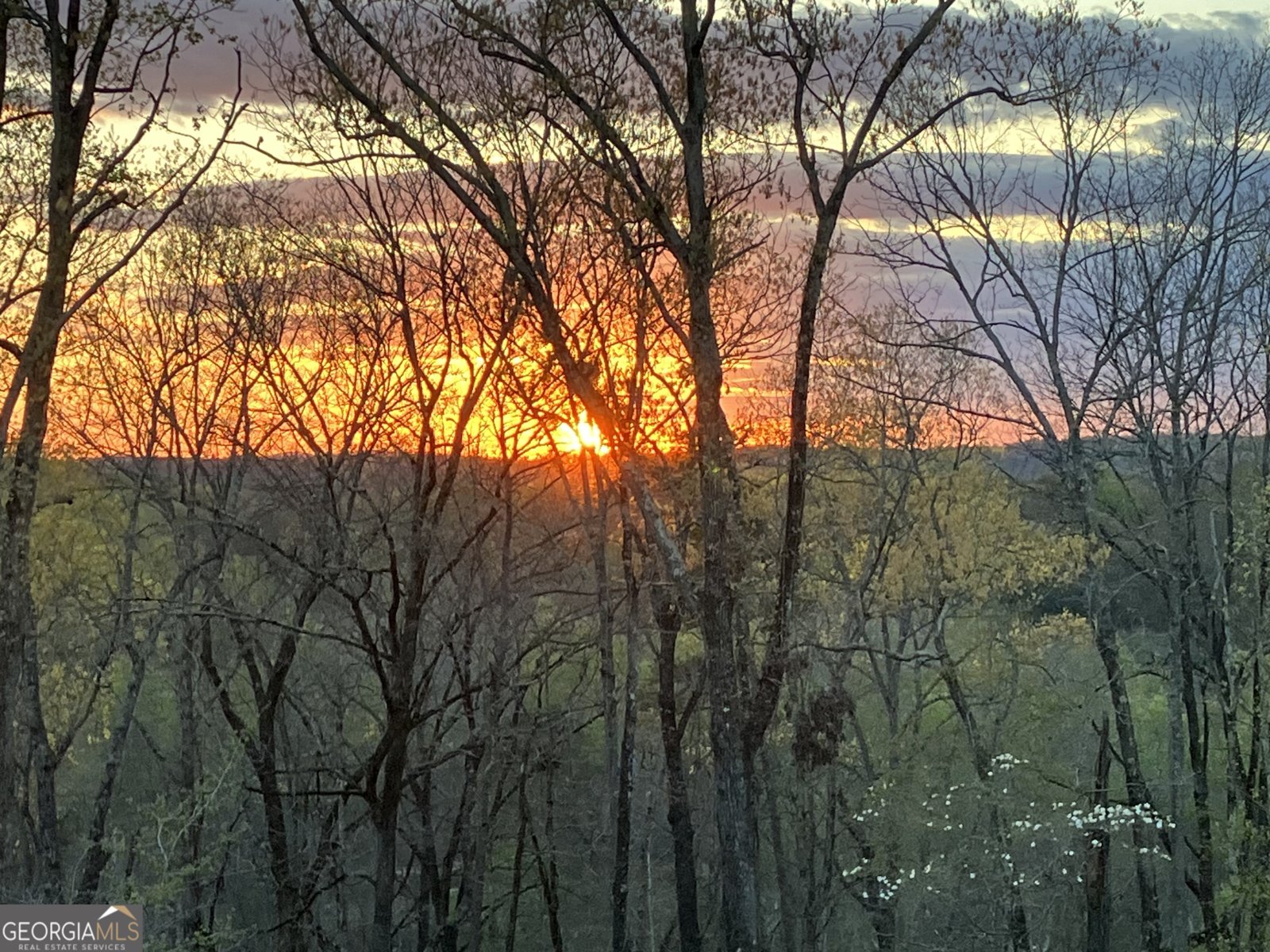 7935 Garnet Trace Ball Ground - Photo 40