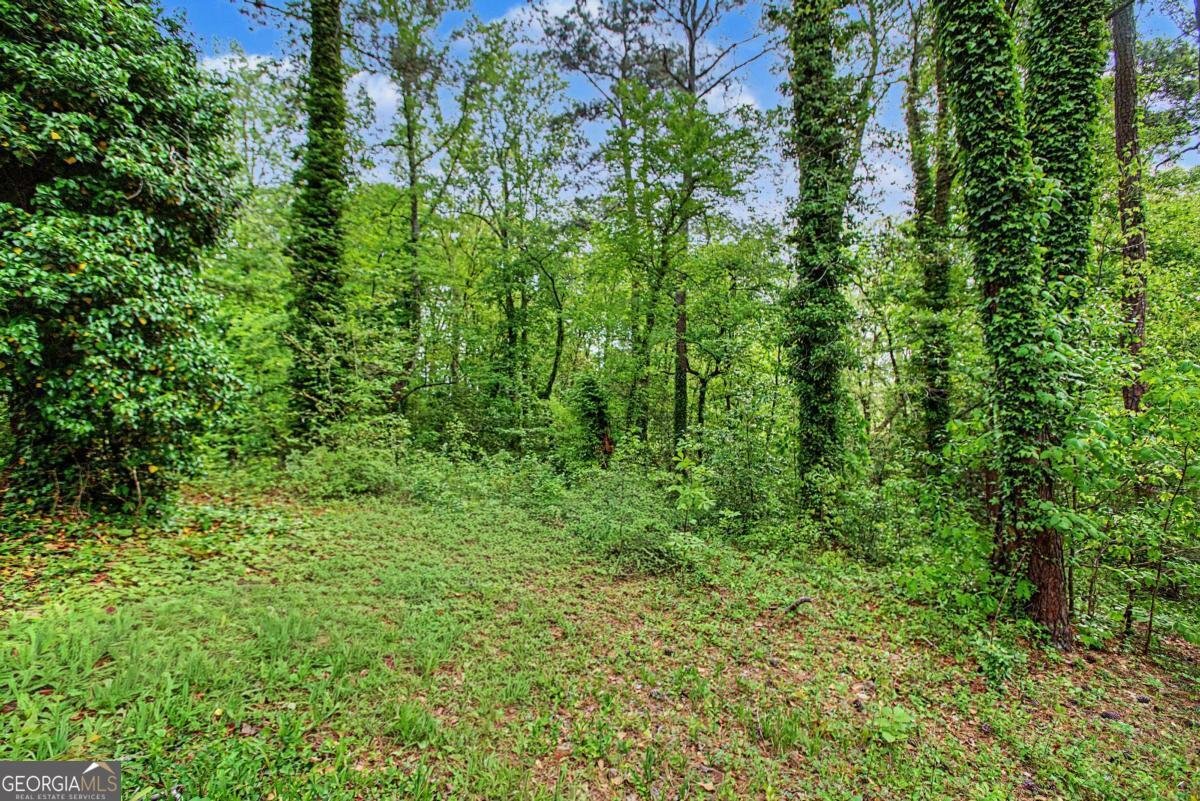 6263 Dodgen Road Mableton - Photo 30