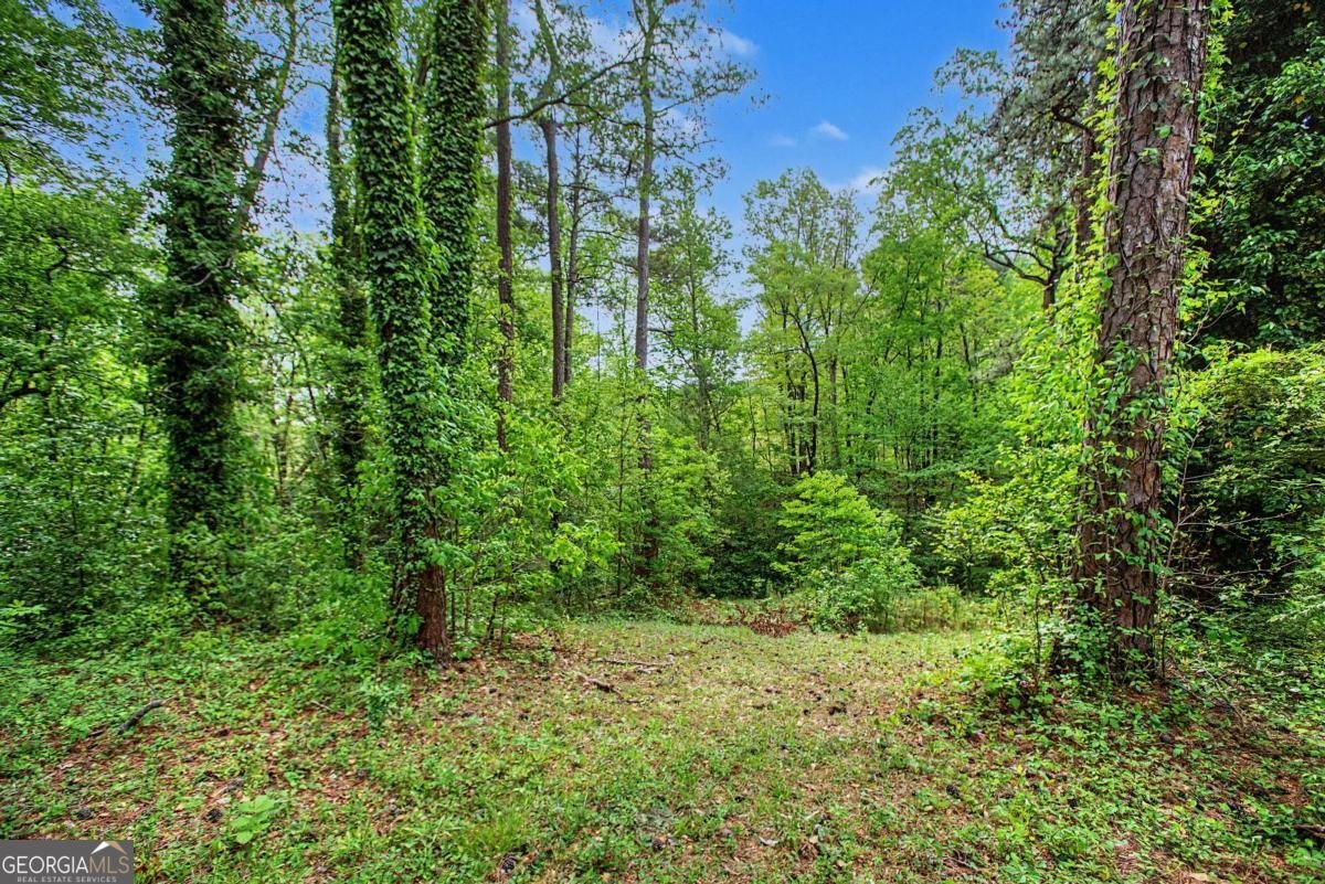 6263 Dodgen Road Mableton - Photo 31