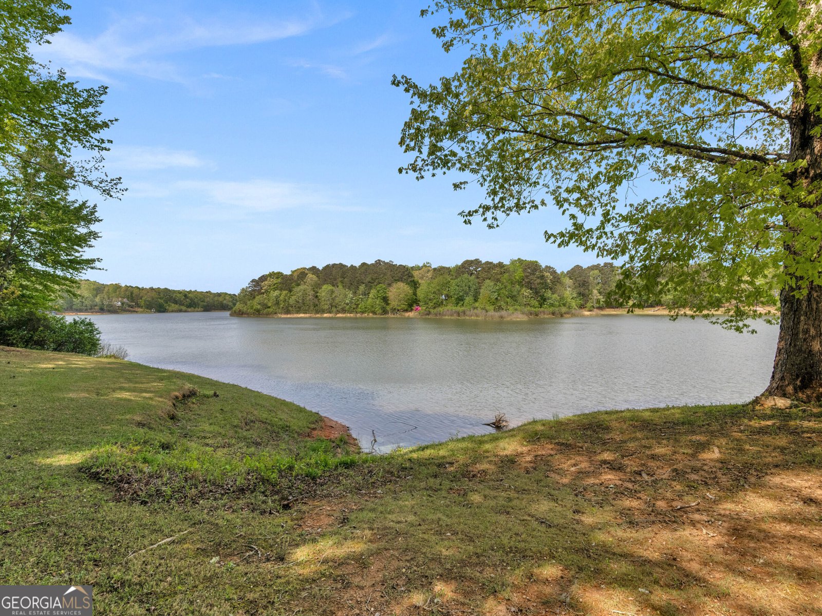 136 Darwish Drive McDonough - Photo 6