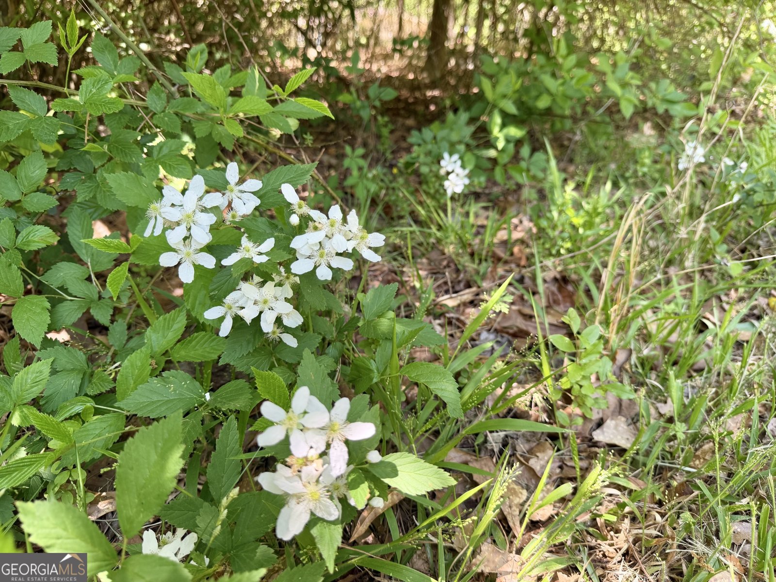 276 Oglesby Bridge Road Conyers - Photo 11