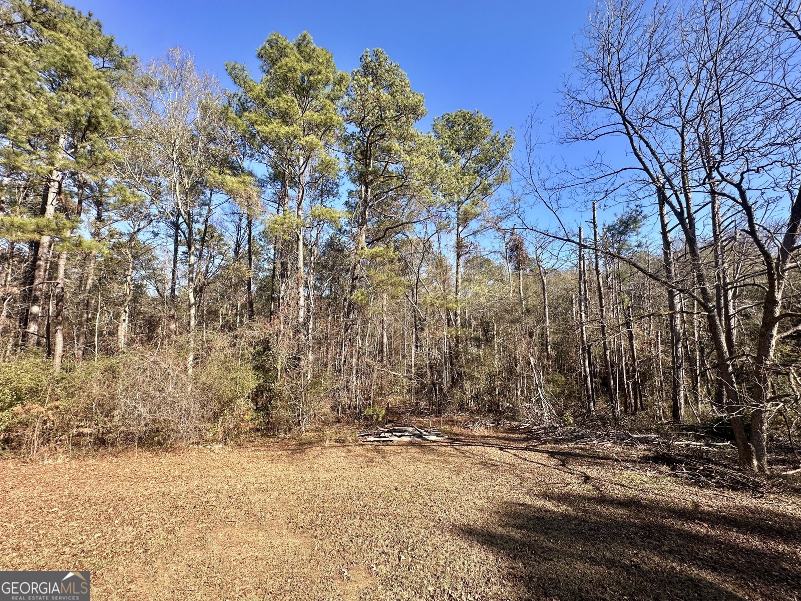 276 Oglesby Bridge Road Conyers - Photo 19