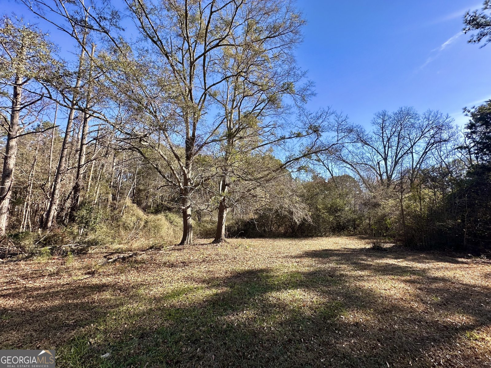 276 Oglesby Bridge Road Conyers - Photo 20