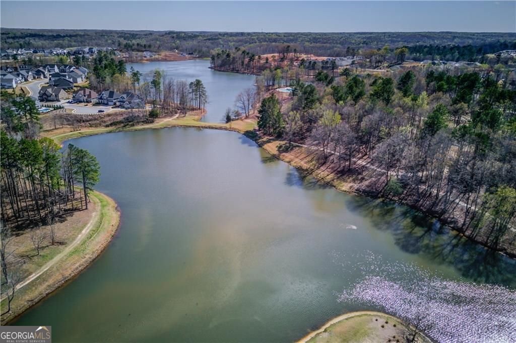 141 Gaston Court Hoschton - Photo 52