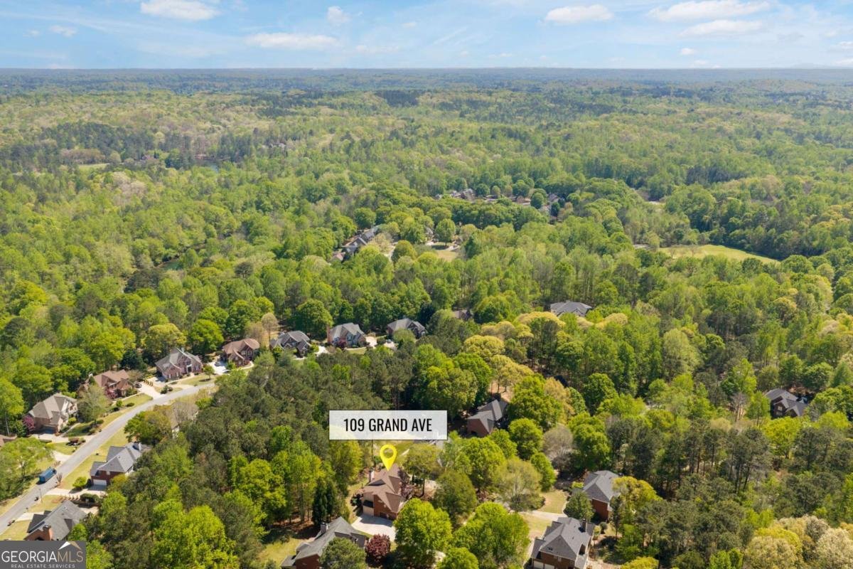 109 Grand Avenue Suwanee - Photo 7