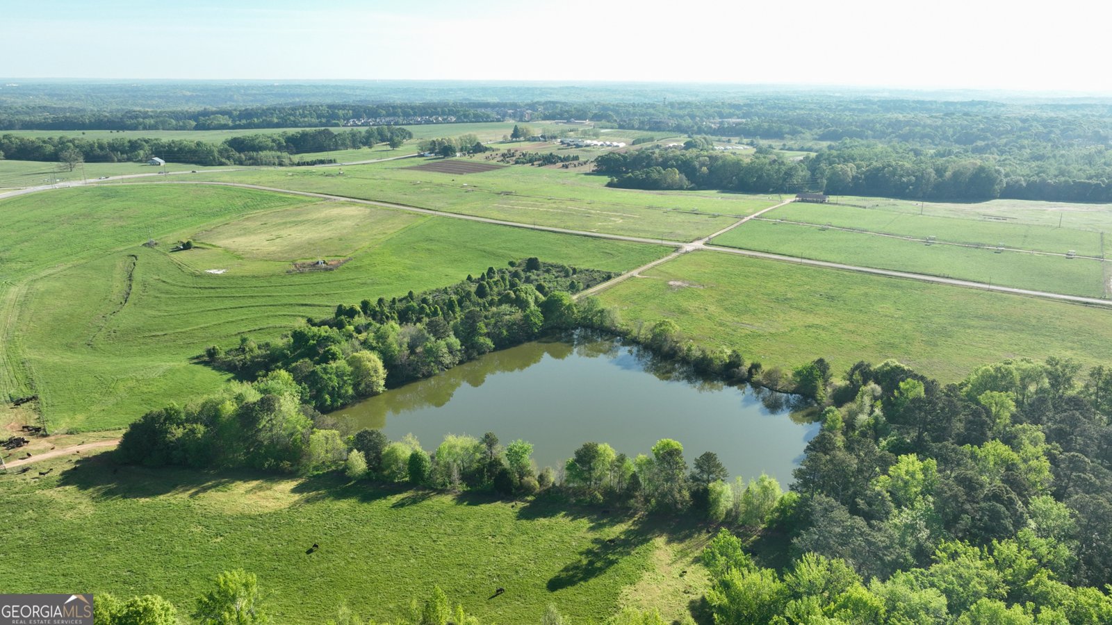 1250 Latham Watkinsville - Photo 36