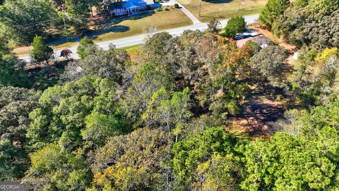 5202 Highway 20 Covington - Photo 29