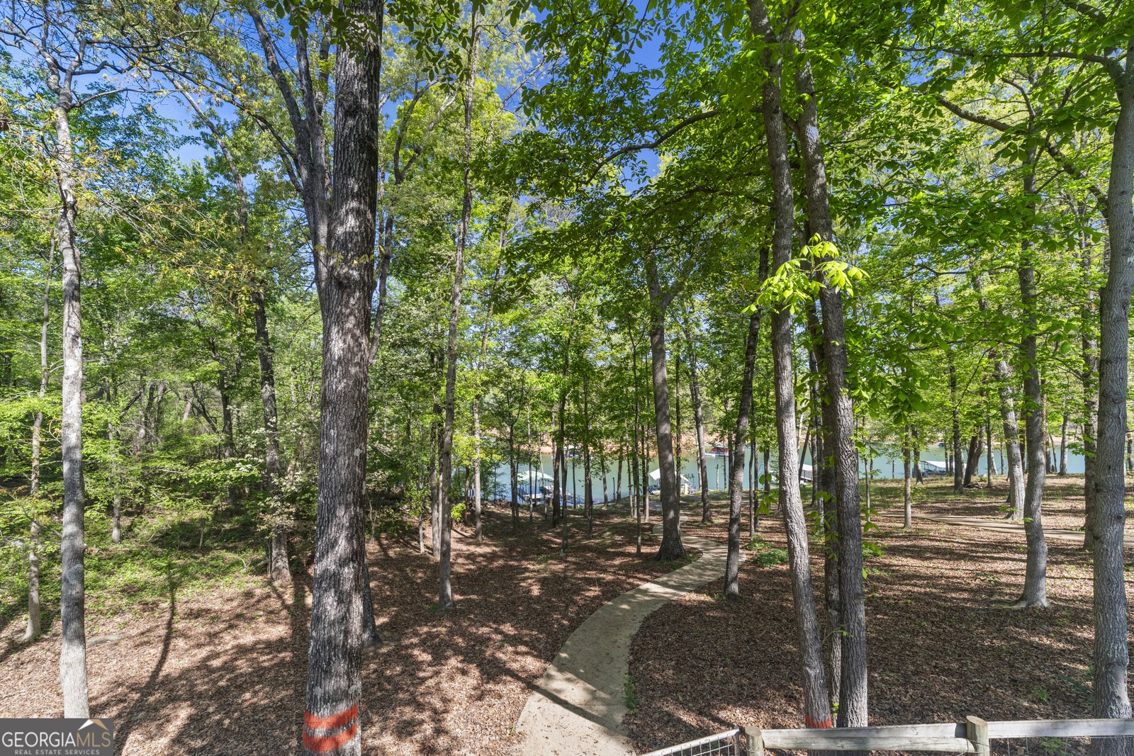 1047 Tranquility Lane Hartwell - Photo 49