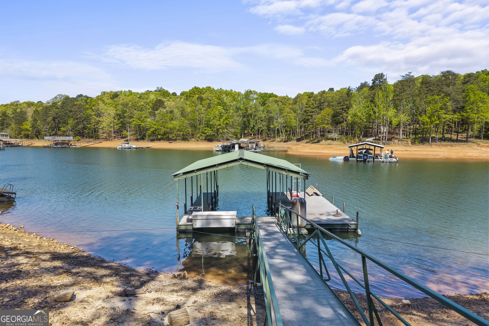 1047 Tranquility Lane Hartwell - Photo 52