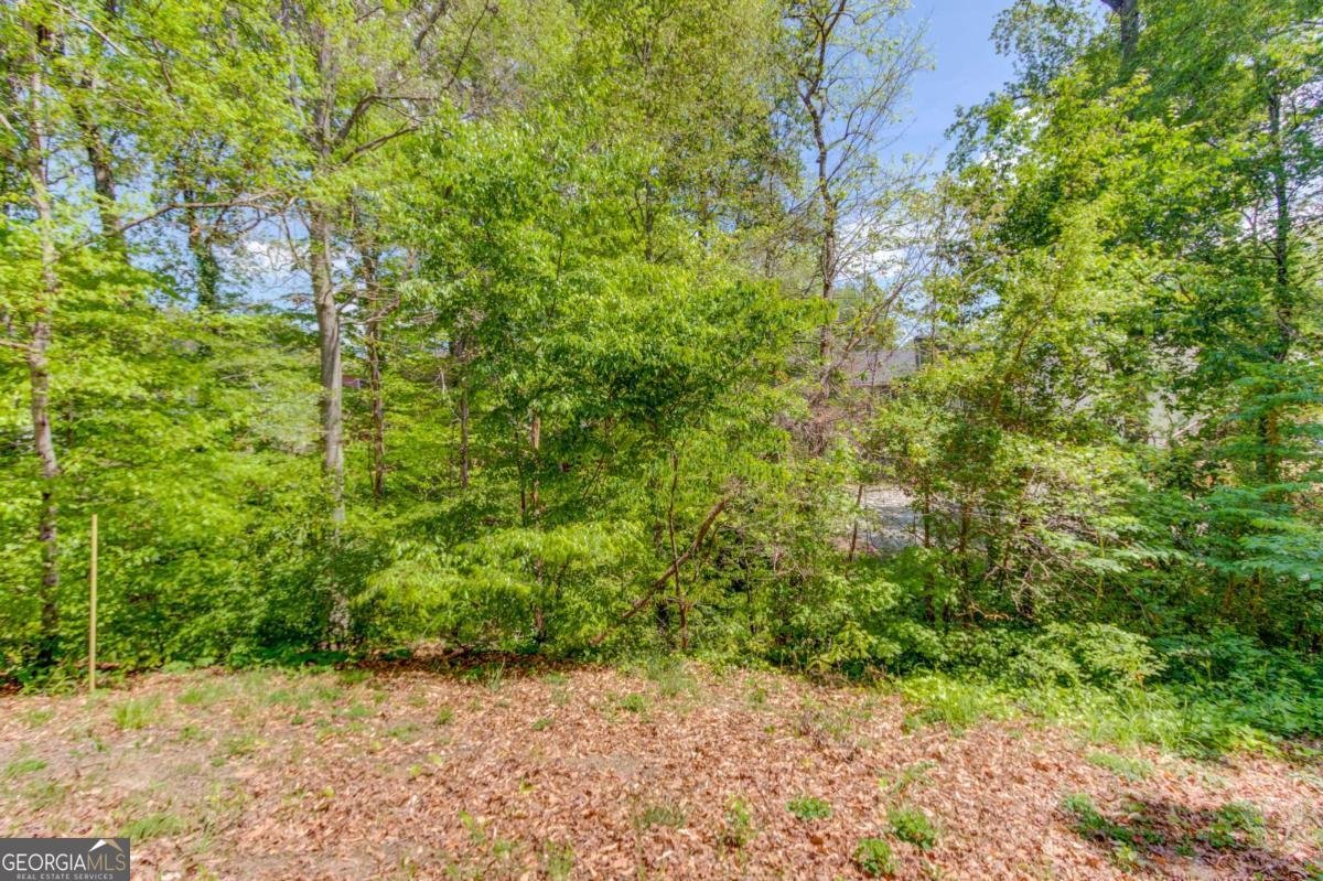 351 Indus Lane Lawrenceville - Photo 36