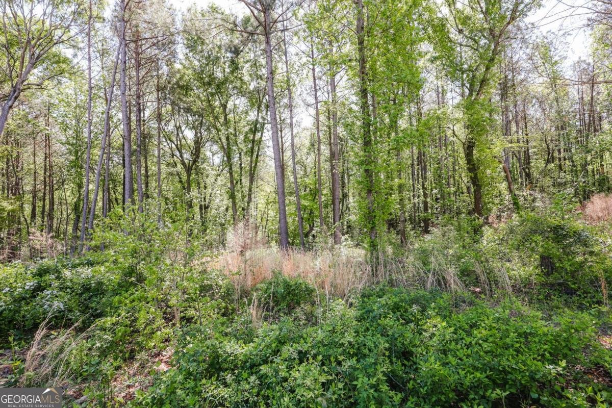 773 Shoal Creek Road Colbert - Photo 38