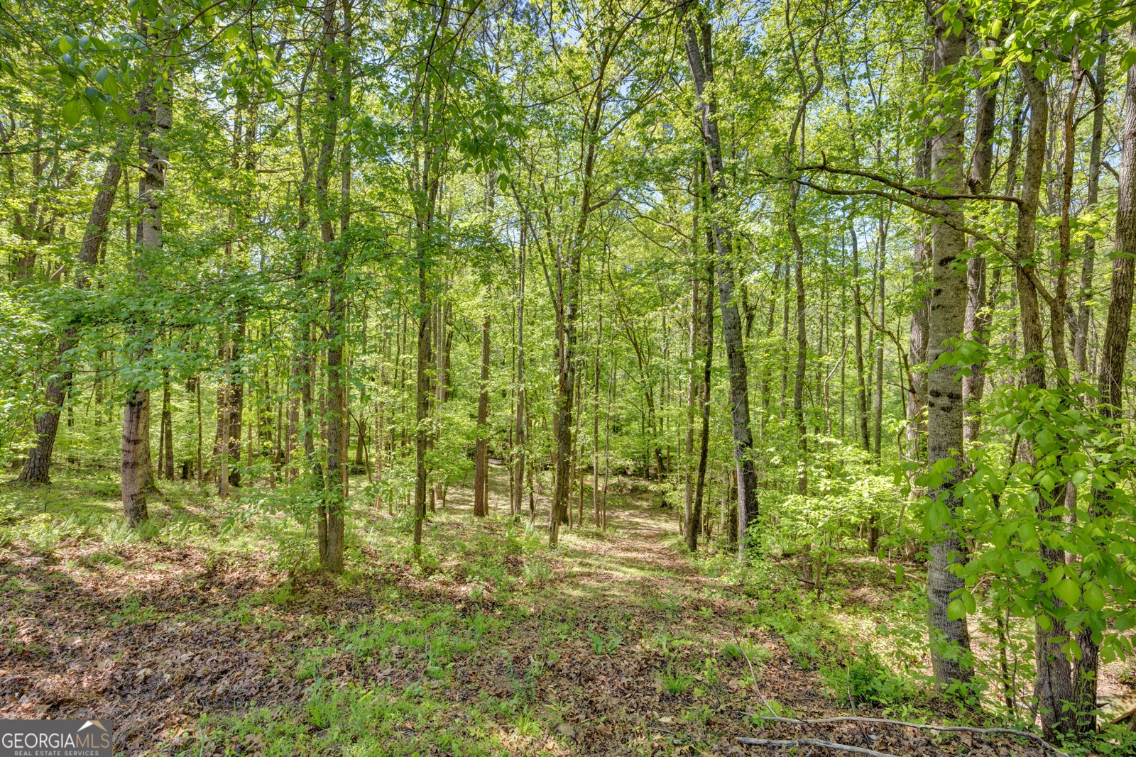 115 Crestview Lane Newborn - Photo 45