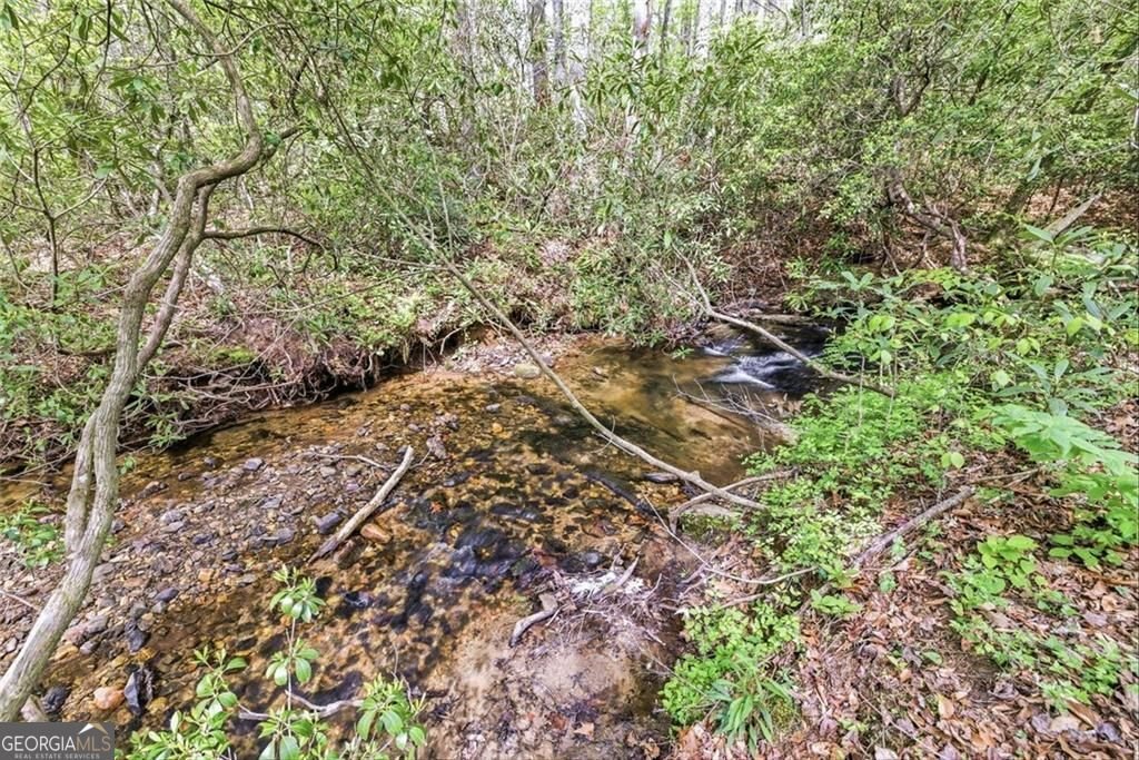 257 Foothills Drive Cleveland - Photo 59