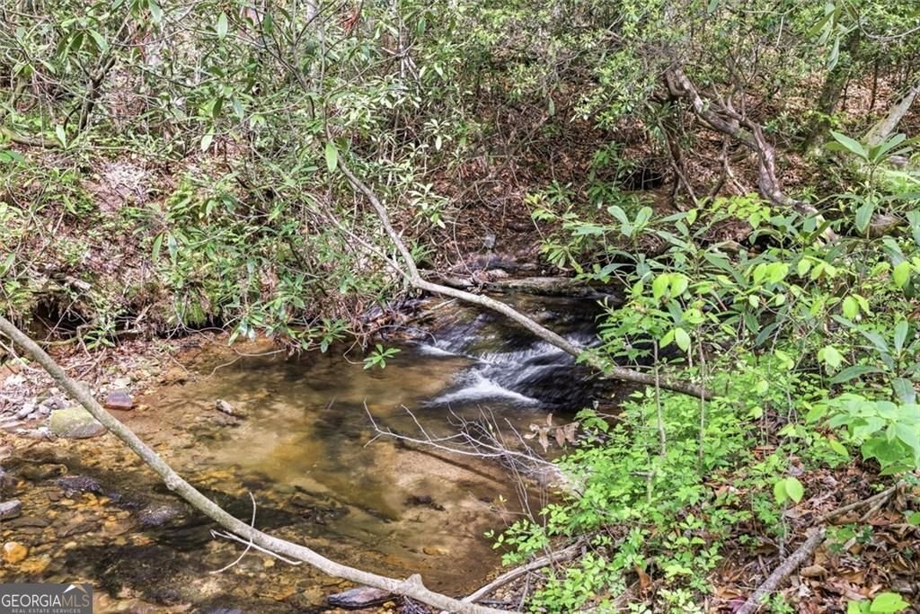 257 Foothills Drive Cleveland - Photo 60