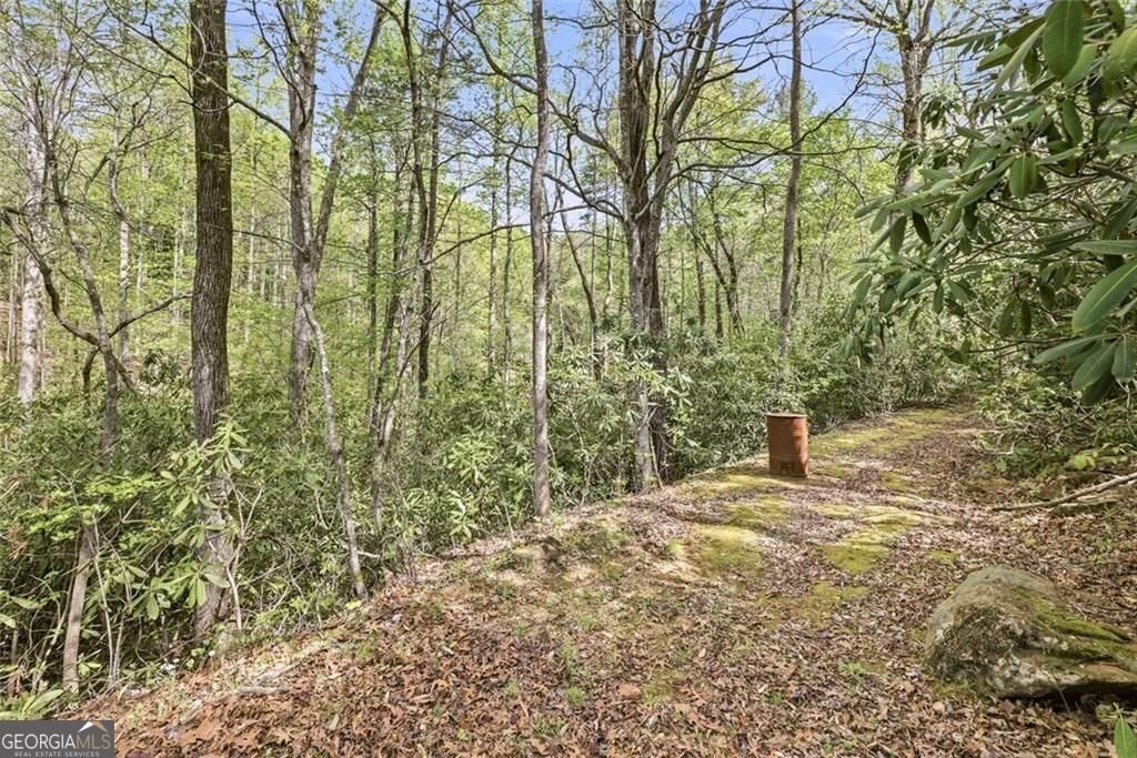 257 Foothills Drive Cleveland - Photo 62