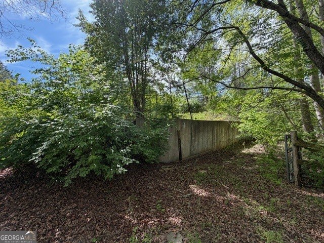 811 Ammons Road Waleska - Photo 13