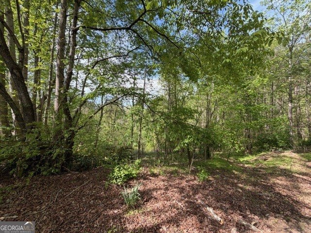 811 Ammons Road Waleska - Photo 14