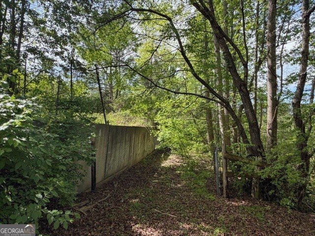 811 Ammons Road Waleska - Photo 15