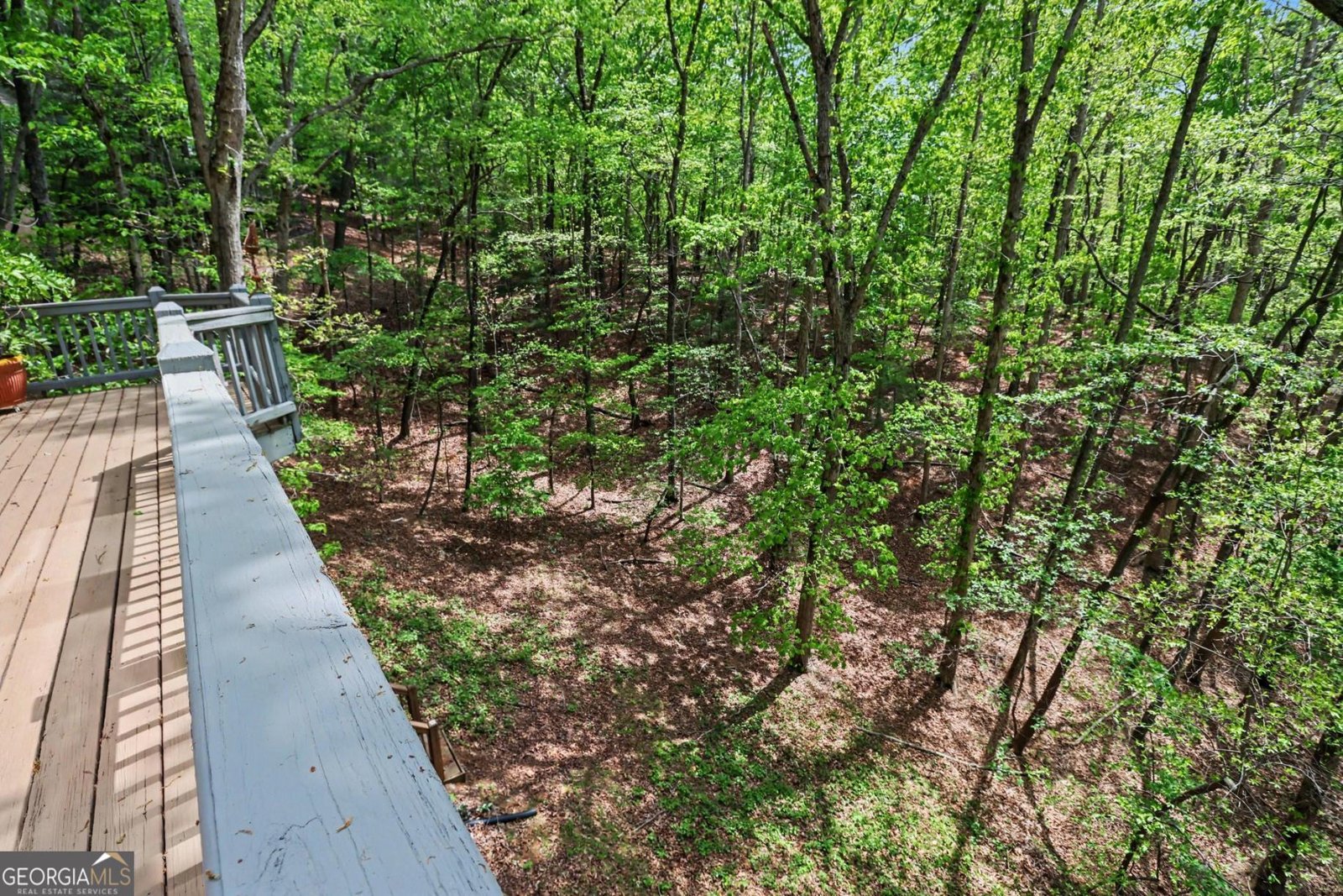 53 Pinto Place Jasper - Photo 49