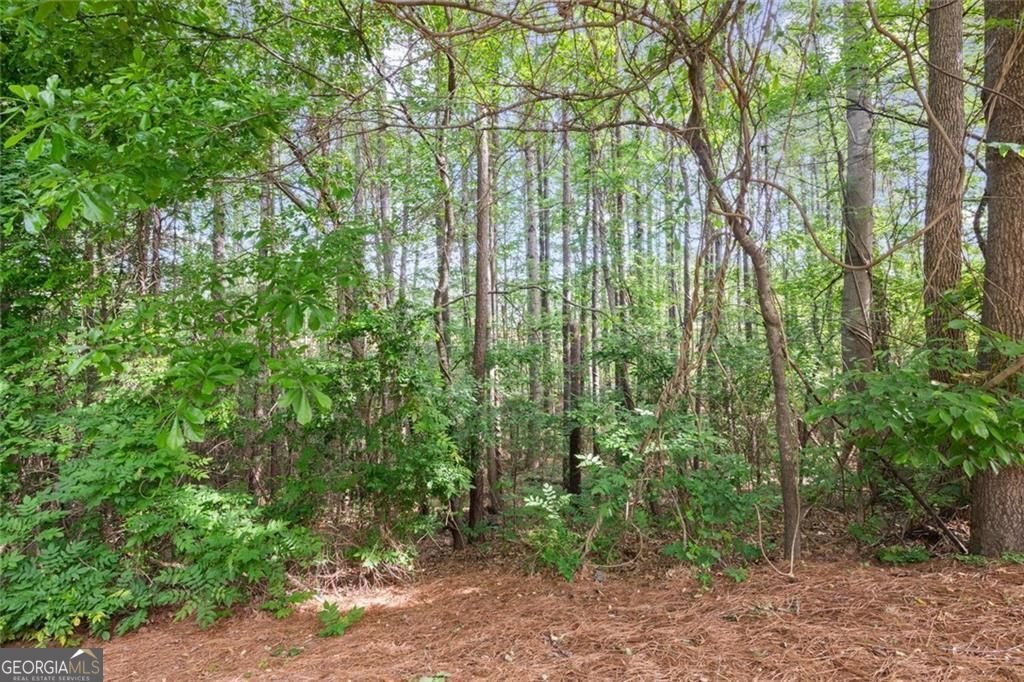 138 Bellehaven Drive Woodstock - Photo 33