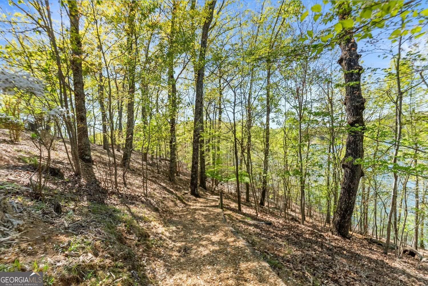 3738 Wavespray Court Gainesville - Photo 72