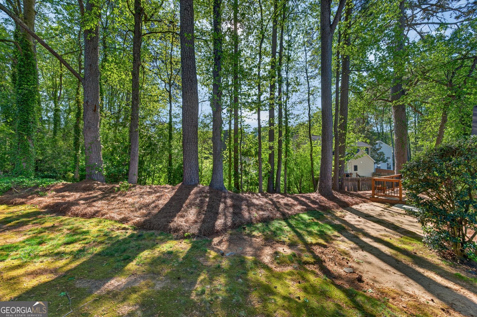 140 Blue Heron Lane Alpharetta - Photo 32