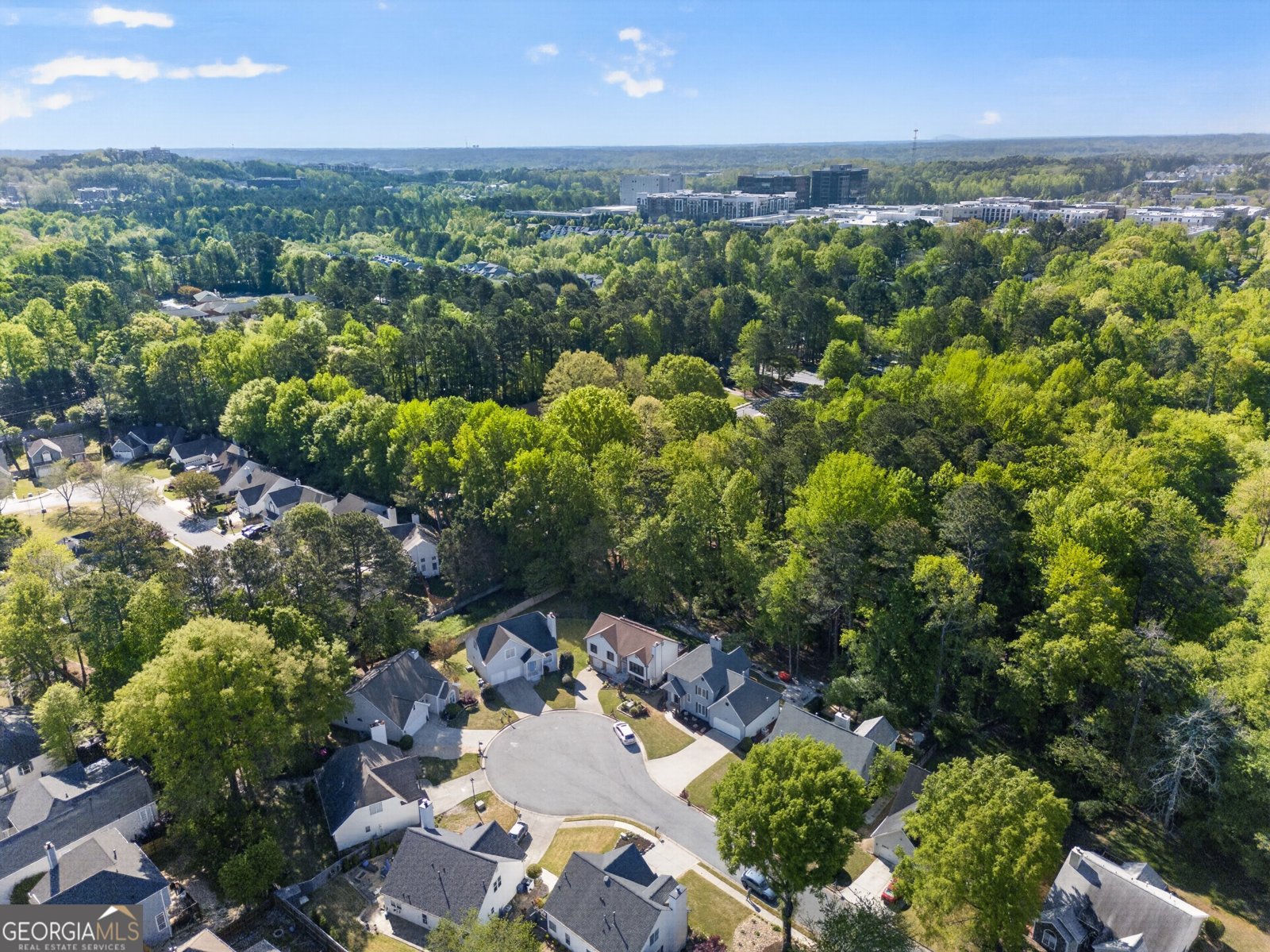 140 Blue Heron Lane Alpharetta - Photo 35