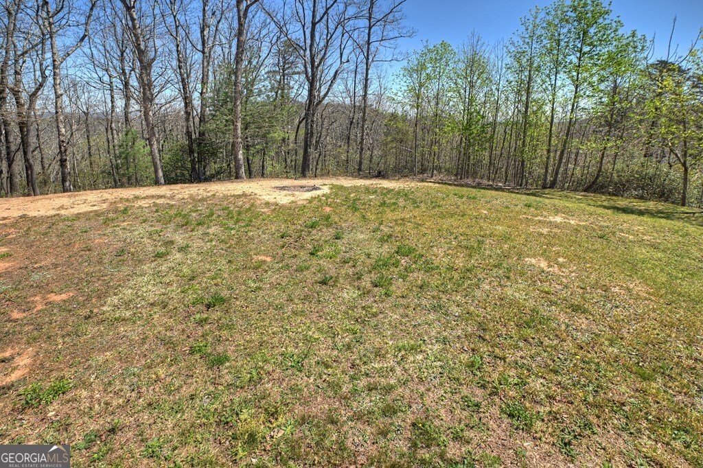 1073 Old Burnt Mountain Road Ellijay - Photo 10