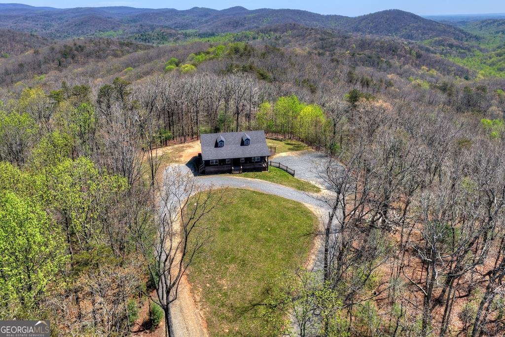 1073 Old Burnt Mountain Road Ellijay - Photo 42