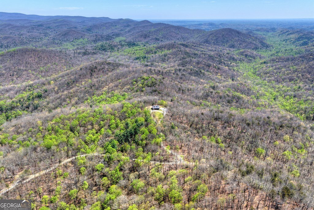 1073 Old Burnt Mountain Road Ellijay - Photo 43