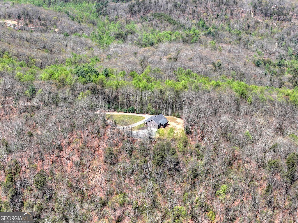 1073 Old Burnt Mountain Road Ellijay - Photo 44