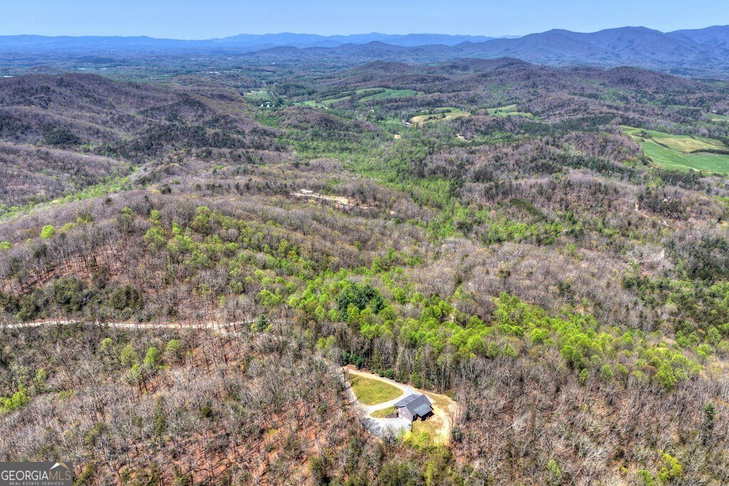1073 Old Burnt Mountain Road Ellijay - Photo 45