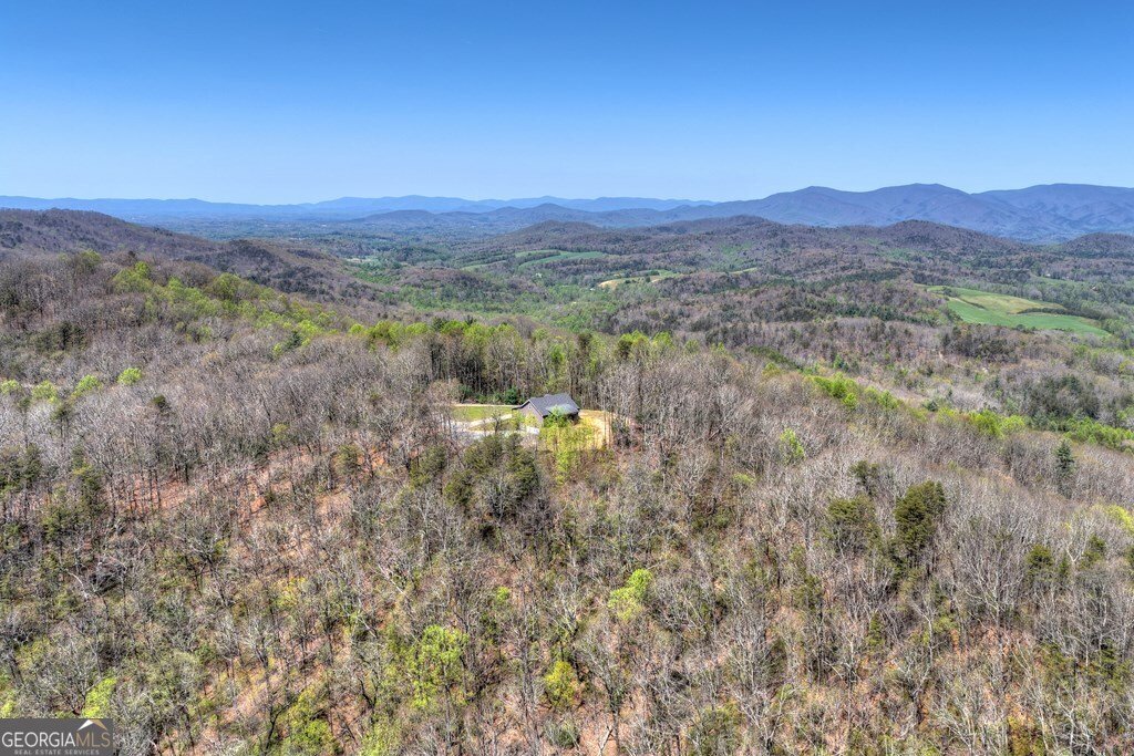 1073 Old Burnt Mountain Road Ellijay - Photo 46