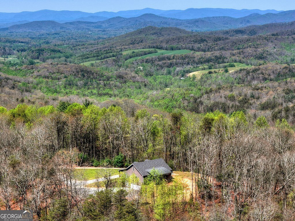 1073 Old Burnt Mountain Road Ellijay - Photo 47